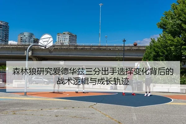 森林狼研究爱德华兹三分出手选择变化背后的战术逻辑与成长轨迹